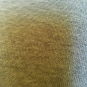 Meet your Posher, Rita