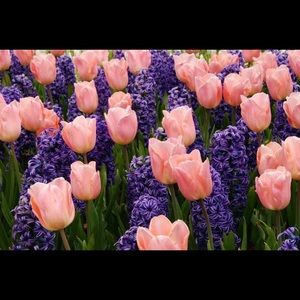 Meet your Posher, Tamika