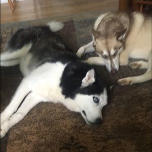 Meet your Posher, Erika