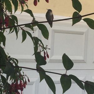 Meet your Posher, Rozalin