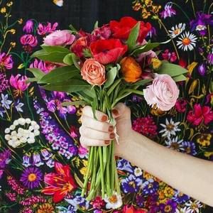 Meet your Posher, Lynn