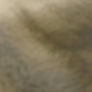 Meet your Posher, Sue