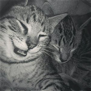 Meet your Posher, Abigail