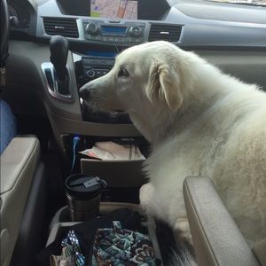 Meet your Posher, Melanie