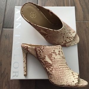 Ann Taylor Python peeptoe mules