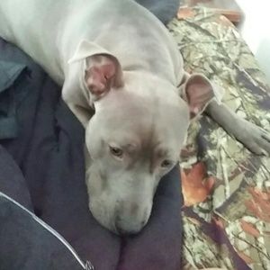 Meet your Posher, Katlyn