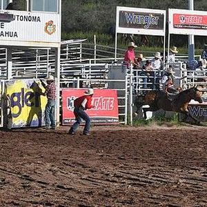 Meet your Posher, Roberto