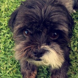 Meet your Posher, Jackie