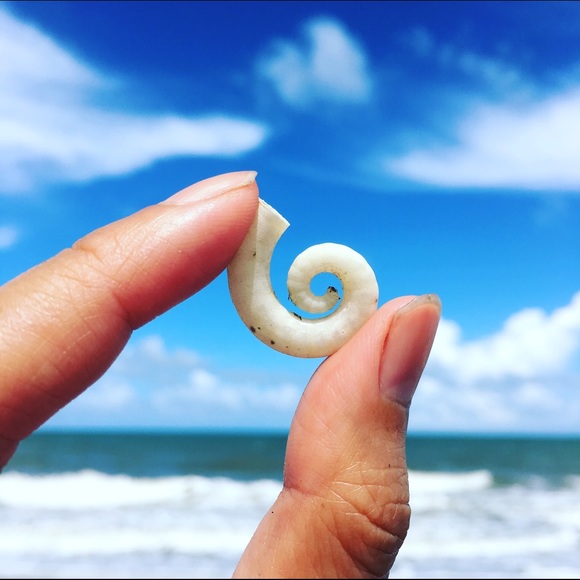 Meet your Posher, Dorothy