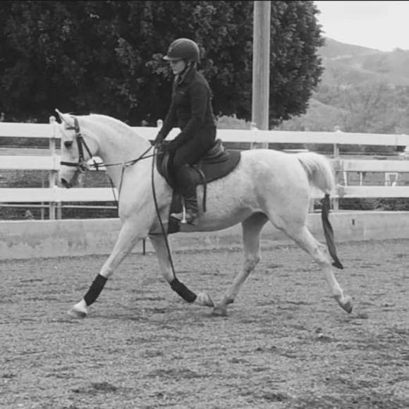 Meet your Posher, Maddi