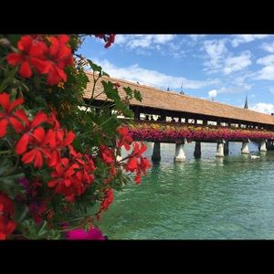 Meet your Posher, Angelica