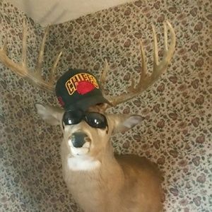 Meet your Posher, Tammy