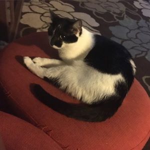 Meet your Posher, Paige