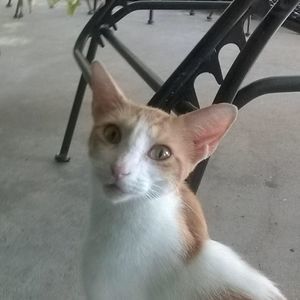 Meet your Posher, Wanda