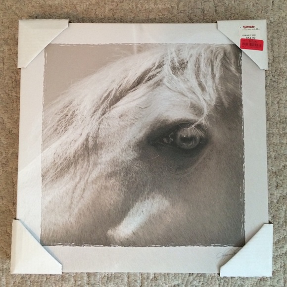 Close-up Horse Eye Canvas Wall Art