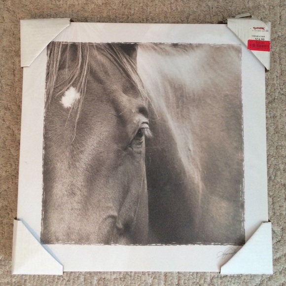 Canvas Horse Close-up Wall Art