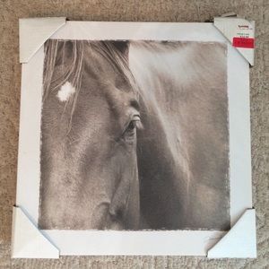 Canvas Horse Close-up Wall Art