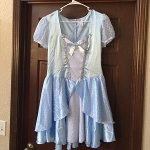 Adult Cinderella Halloween Costume XL 14 - 16
