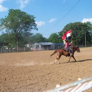 Meet your Posher, Morgan