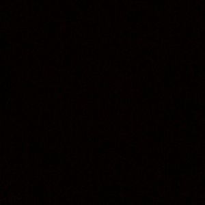 Meet your Posher, Elly