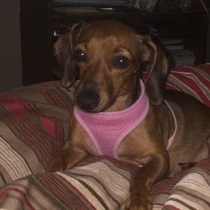 Meet your Posher, Wendy