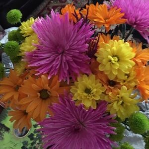 Meet your Posher, Rillia