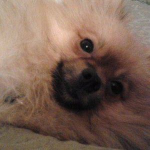 Meet your Posher, Cindy