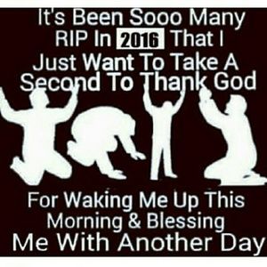 Meet your Posher, Audrey