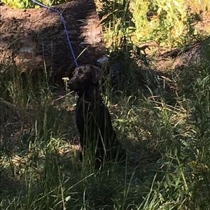 Meet your Posher, Ellena