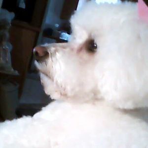 Meet your Posher, Sue