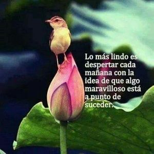 Meet your Posher, Karla