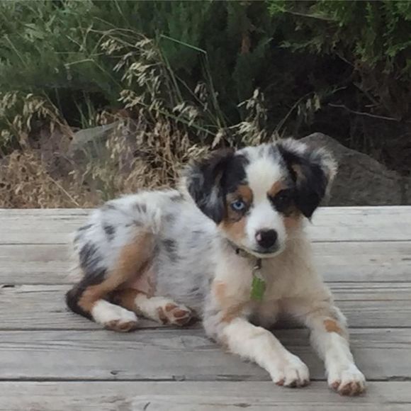 Meet your Posher, Karen - Picture 1 of 1