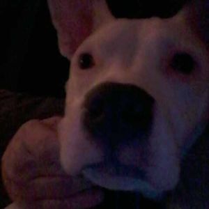 Meet your Posher, Darlene