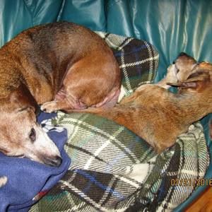 Meet your Posher, Stacy