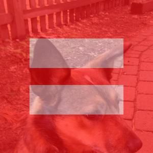 Meet your Posher, Peter