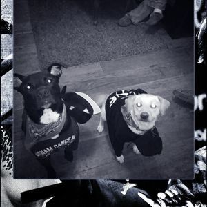 Meet your Posher, Cheryl