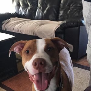 Meet your Posher, Manda