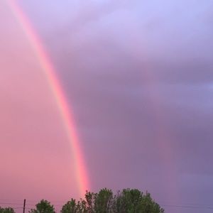 Meet your Posher, Miriam