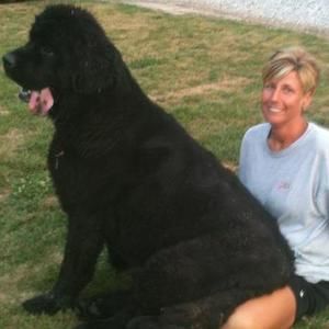 Meet your Posher, Faye