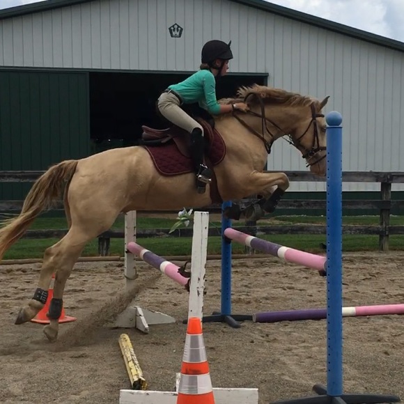 Meet your Posher, Gracie