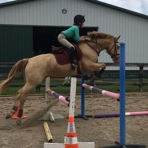 Meet your Posher, Gracie