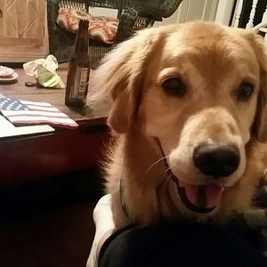 Meet your Posher, Elisha