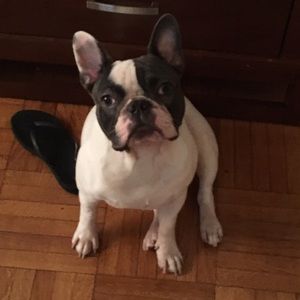 Meet your Posher, Derlin