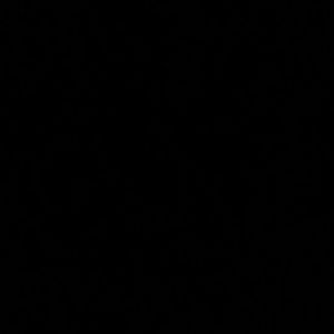 Meet your Posher, Nia