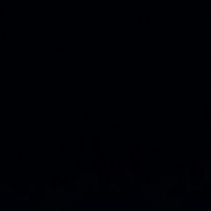 Meet your Posher, Demetrius