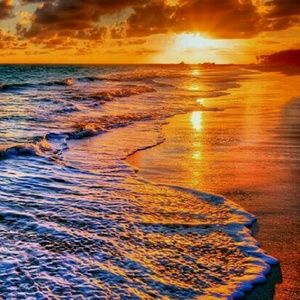 Meet your Posher, Carol