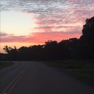 Meet your Posher, Carrie