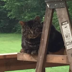 Meet your Posher, Cindy