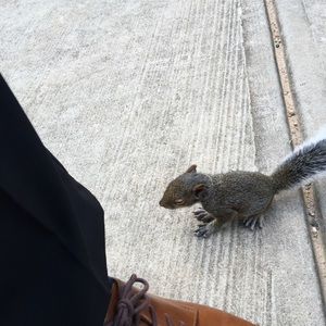 Meet your Posher, Edward