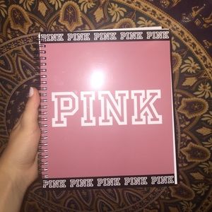 2016-17 PINK agenda